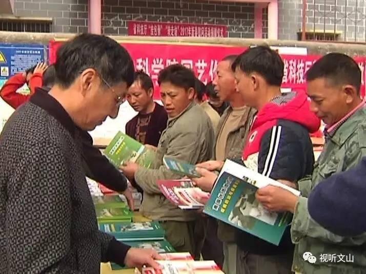 2025年正版资料免费最新请全面2释义、解释与落实、详细解答解释落实