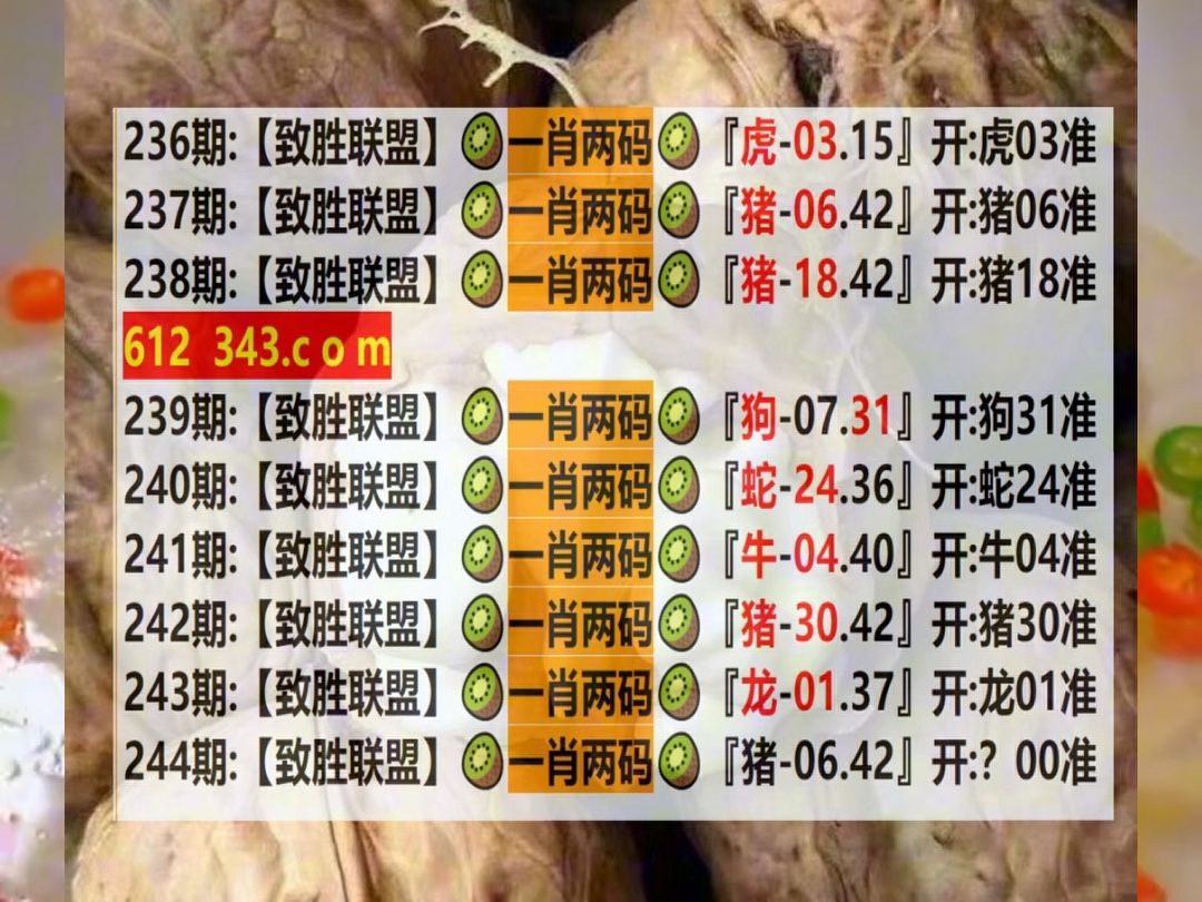二肖四4码资料详细解答、解释与落实、综合解答解释落实
